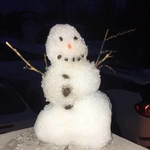 Meet your Posher, Samuel